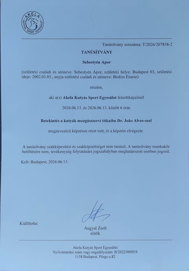Betekintés a kutyák mozgásszervi titkaiba