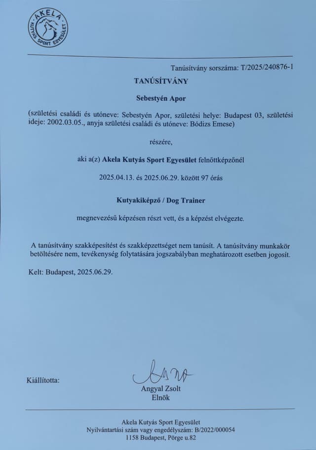 Kutyakiképző tanfolyam